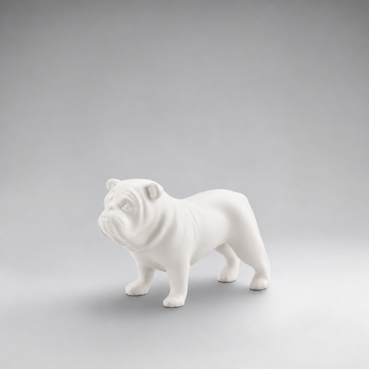 BORIS Mini